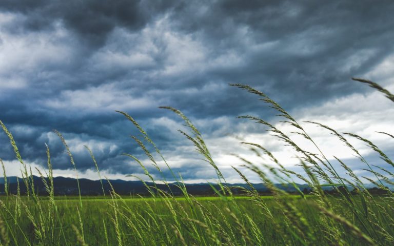 Wind & Energie